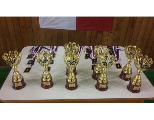 Výsledky GPA U13 Aš 2016